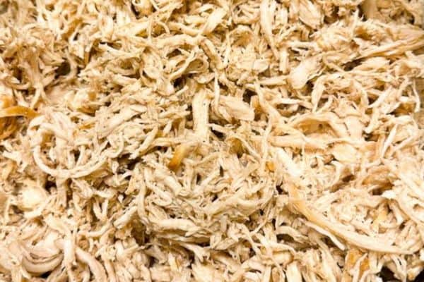 Close up of shredded chicken