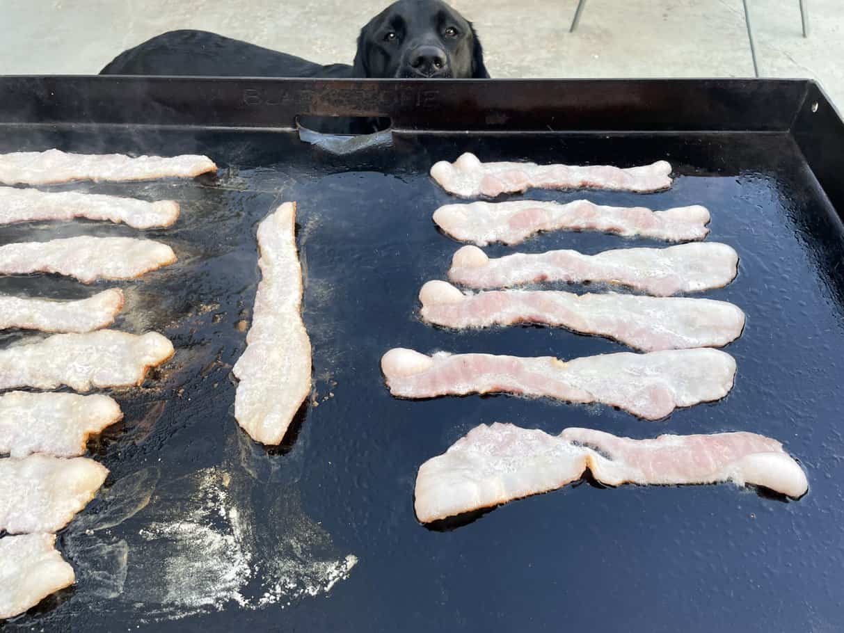 Bacon cooking on a Blackstone griddle with our