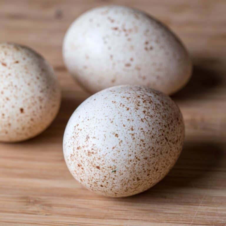 Three turkey eggs arranged on a wooden cutting board