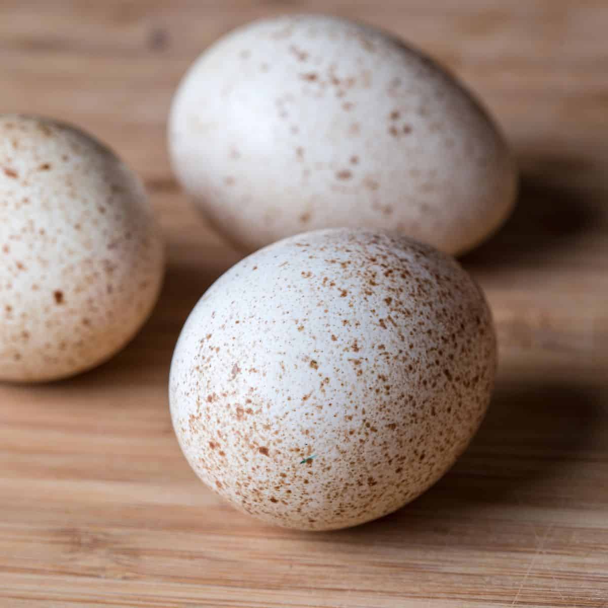 Three turkey eggs arranged on a wooden cutting board